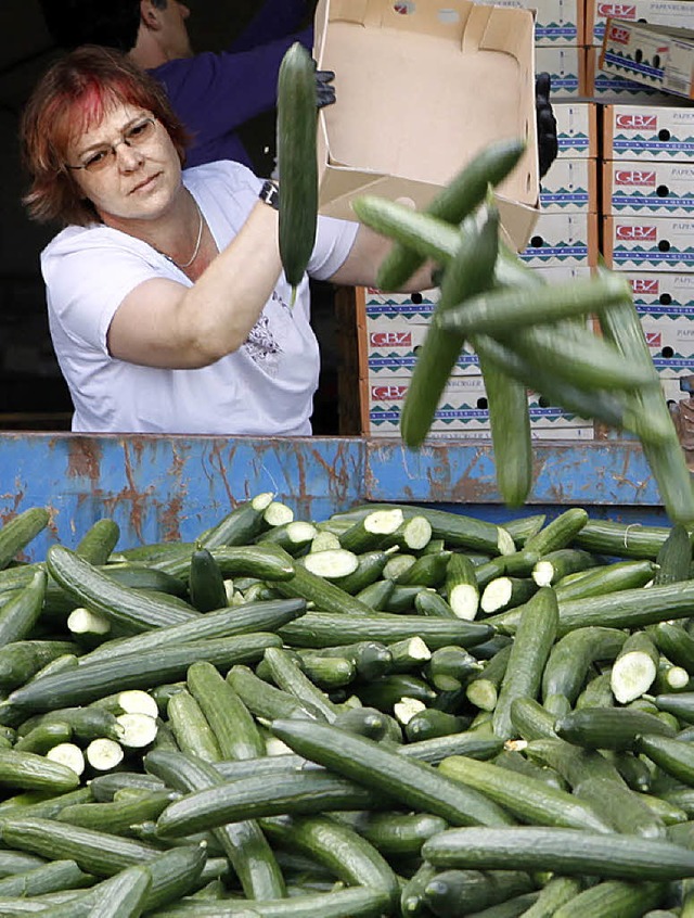 Derzeit landen viele Salatgurken im Abfallcontainer.   | Foto: dapd