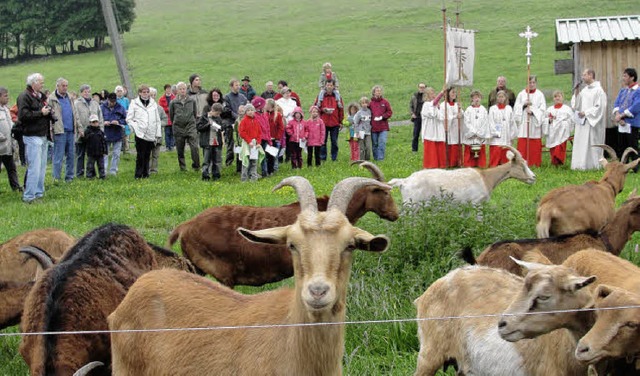 Zahlreiche Zwei- und Vierbeiner wohnte...rch Pastoralreferent Gnter Hirt bei.   | Foto: Tina Httich