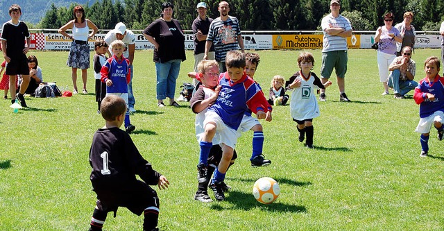 Schon die kleinsten Fuballer des Stop...t-blau) gegen den FC 08 Bad Sckingen.  | Foto: melanie dramac