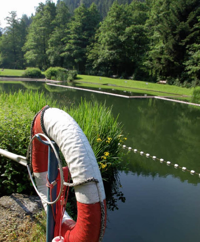 Baden im Bach: Naturbad Sulzburg  | Foto: Heike Lemm