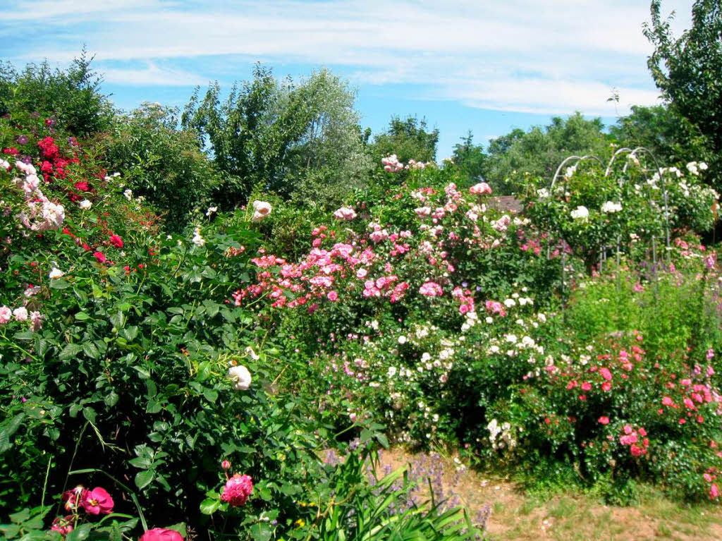 Landvergngen und Gartentag in Hartheim