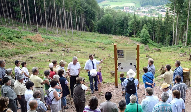 Enthllt: Oberhalb Drlinbachs informiert nun eine Tafel ber Hohrtte.   | Foto: walter kopf