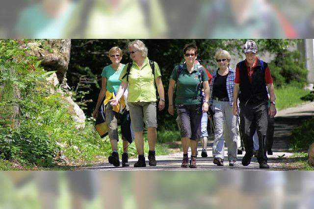 Alle Wege fhrten nach Hottingen