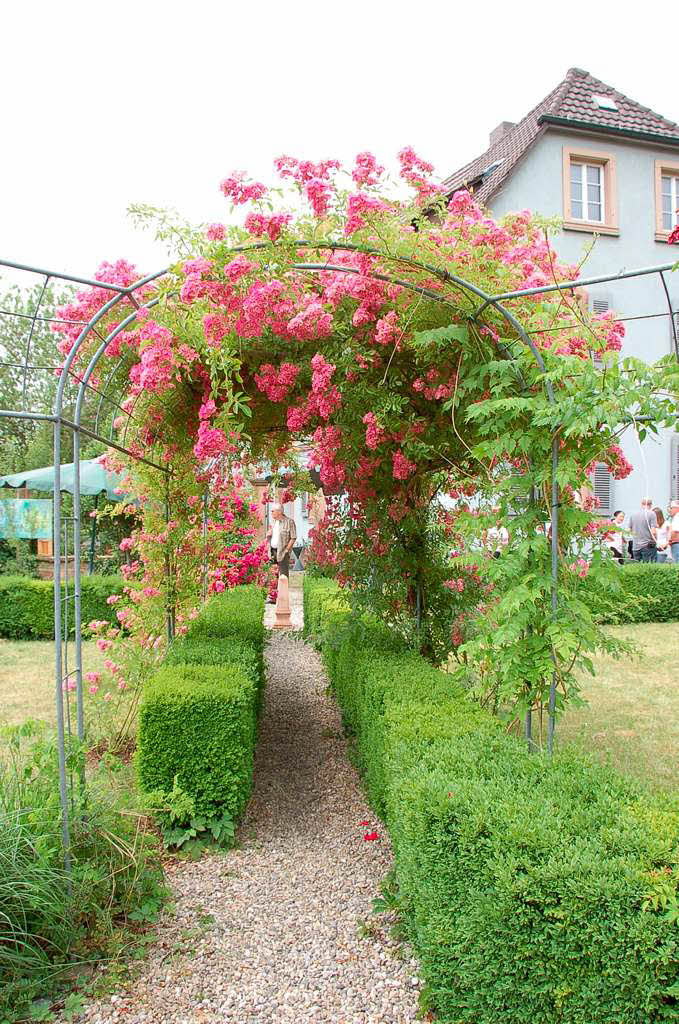 Die Ausstellung von Christian Wenzinger im privaten Rosengarten beim Finanzamt in Lahr.