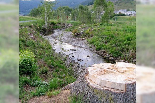 Wasser war das wichtigste Thema im Gemeinderat