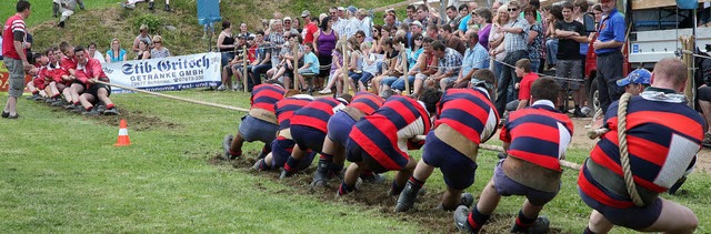 &#8222;Seil auf&#8220; &#8211; &#8222;...im Kampf gegen  Goldscheuer (rechts).   | Foto: fotos: hans-jrgen hege