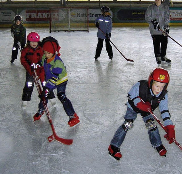 Dank der Sparkassen-Spende kann die Ei...blikumslauf Eishockey spielen knnten.  | Foto: Archivfoto: BZ