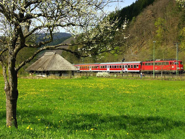 Die Vogtsbauernhfe vor Augen und den ...it der Schwarzwaldbahn unterwegs sind.  | Foto: vogtsbauernhof