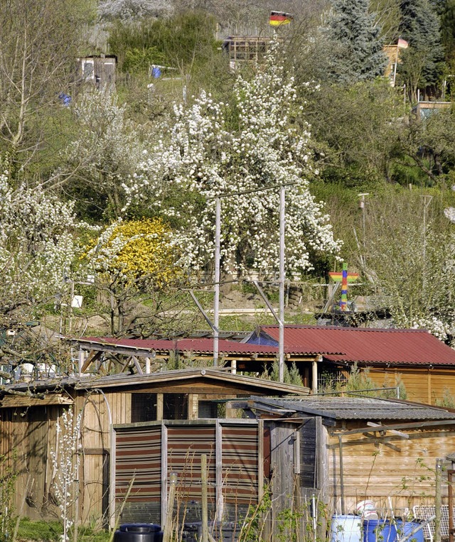 Nur zwischen 10 und 15 Euro zahlen Lr... Kleingartenanlage am Tllinger Berg.   | Foto: Lauber