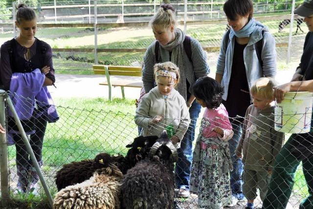 Zoo lockte mit Angeboten