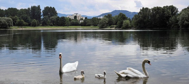 Der Dietenbachpark, wie er heute aussieht.  | Foto: Michael Bamberger