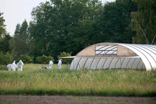 Experten des Robert-Koch-Instituts und...elnde der Grtnerei in  Bienenbttel.  | Foto: dapd