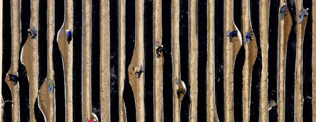 Die Spargelernte  aus der Vogelperspektive  | Foto: dpa