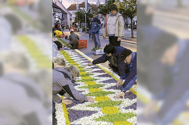 Kaum Hoffnung auf groe Blumenteppiche