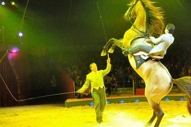 Atemberaubend: Der Circus Knie in Basel