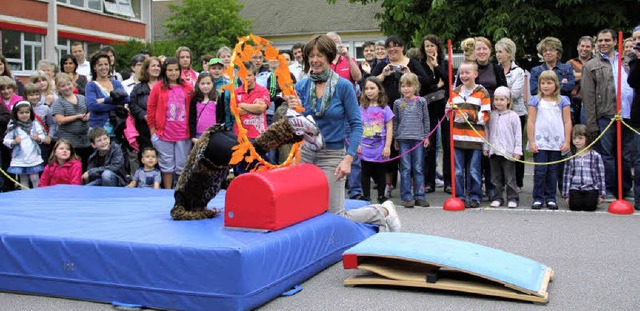 Wilde Tiere sprangen durch Feuerreifen...ttagen an der Dr.-Max-Metzger-Schule.   | Foto: Monika Weber