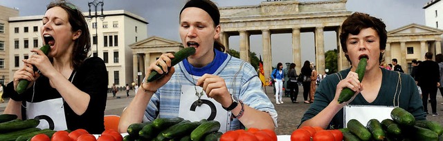 Es schmeckt wieder: Mit einem Gurkenwe... Tomaten und Salat vom Ehec-Verdacht.   | Foto: dpa