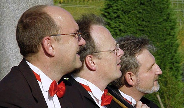 Das Offenburger Streichtrio wird 30.  | Foto: privat