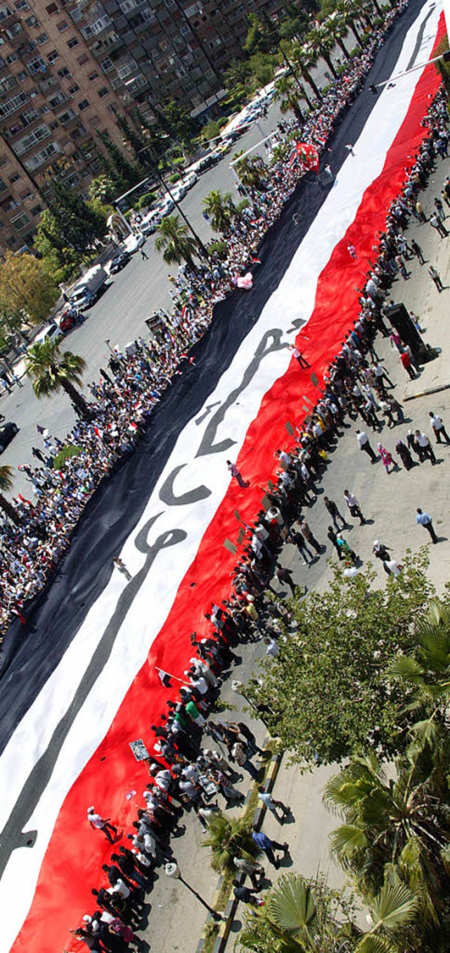 Mehr als 50000 Menschen demonstrierten...askus fr Prsident Baschar al-Assad.   | Foto: AFP