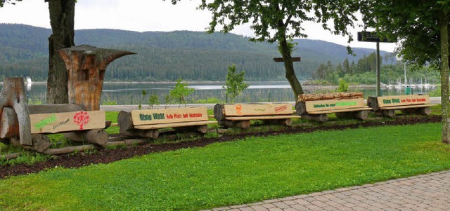 Der Waldzug am Bahnhof Schluchsee ist ...d kleine Passanten zum Verweilen ein.   | Foto: Ute Aschendorf