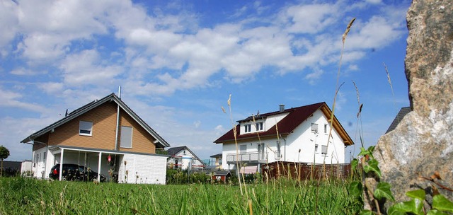 Nur wenige Baulcken gibt es noch im Haltinger Bromenacker.   | Foto: Herbert Frey