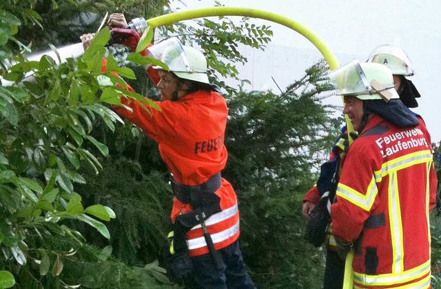 Ins Gebsch hielten die Wehrleute das Rohr.   | Foto: Feuerwehr