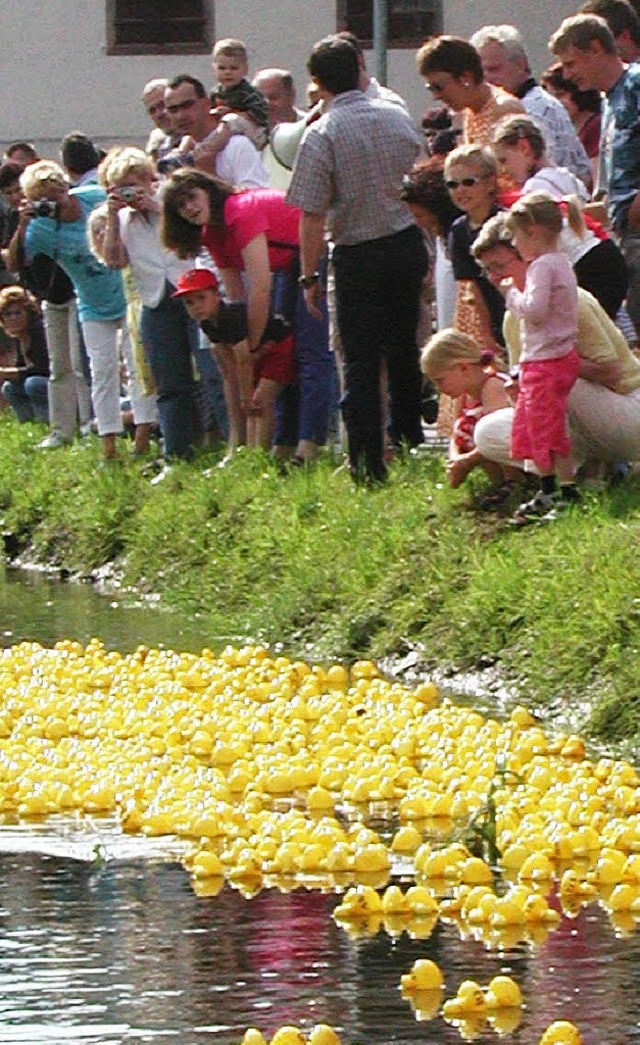 Invasion der Enten   | Foto: stadt