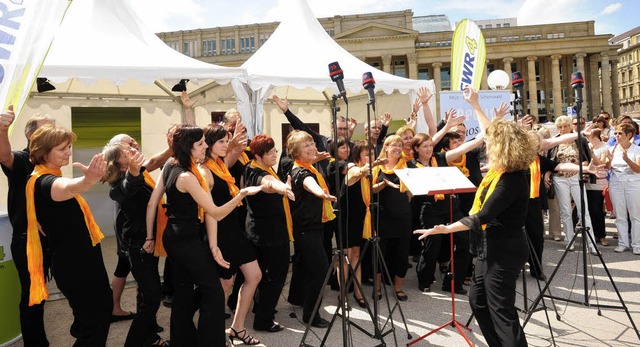 Der Popchor Virtuos Voices  in Stuttgart auf dem Schlossplatz.   | Foto: Verein