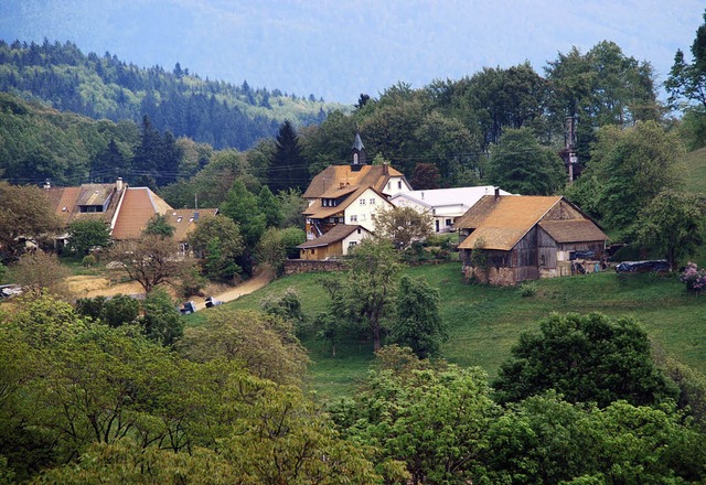 Es grnt so grn: Raitbach Ortschaftsr...enschen wollen dort ihr Husle bauen.   | Foto: Edgar Steinfelder