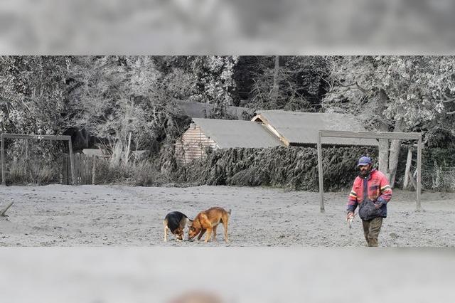 Mit dem Besen gegen die Asche des Puyehue