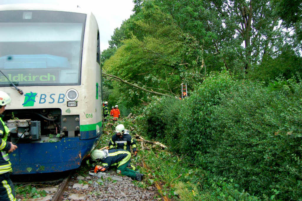 Ein Baum strzte auf die Gleise der Breisgau-S-Bahn.