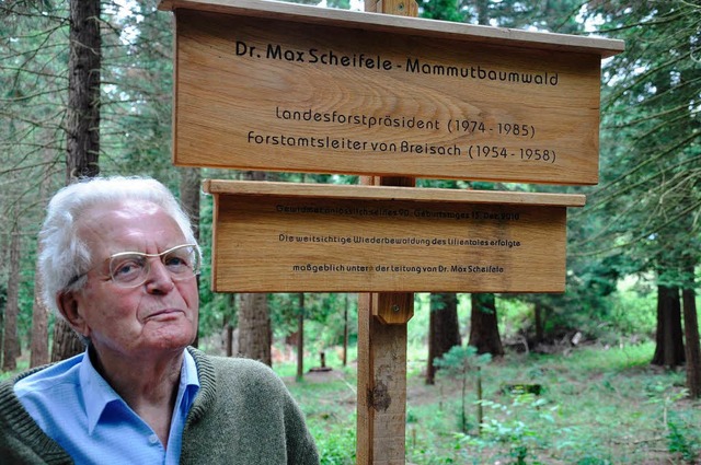 Der Mammutbaumwald im Ihringer Lilient...Landesforstprsidenten  Max Scheifele.  | Foto: Kai Kricheldorff