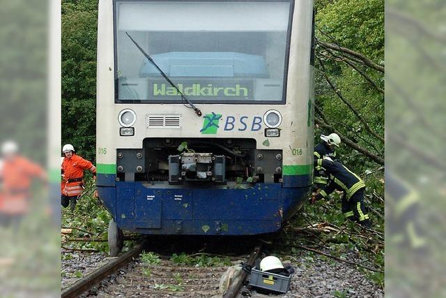 Berstende Pappel stoppt Breisgau-S-Bahn