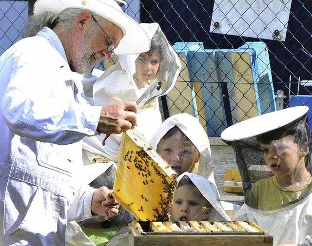 Jochen Schmidt demonstriert den Umgang mit Bienen.   | Foto: M. Bamberger