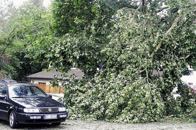 Unwetter richtet einigen Schaden an