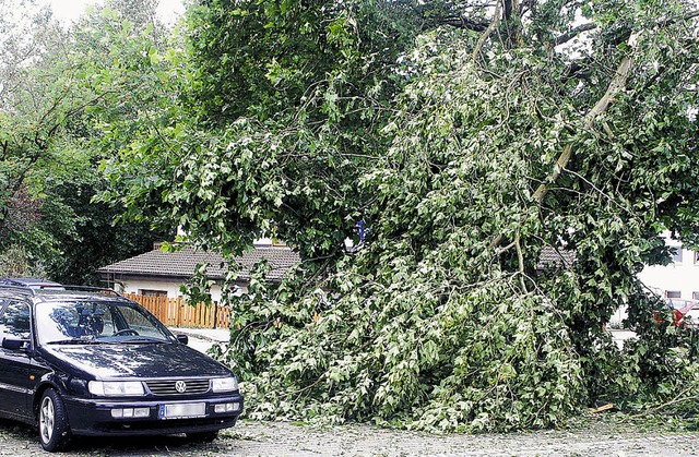 Das am Mittwoch ber den Landkreis Wal...hern eines Carports und einer Garage.   | Foto: Dehmel/Lins