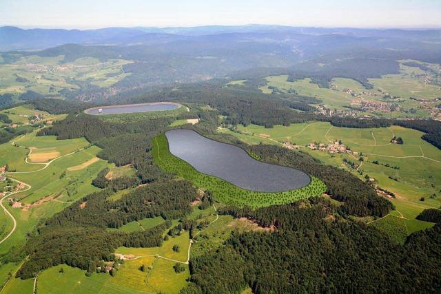 Pumpspeicherwerk Atdorf: Klimaschutz kontra Naturschutz