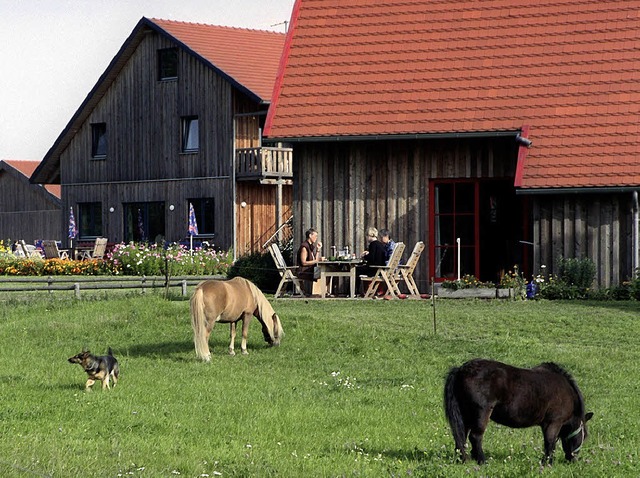 Ferienwohnungen wie auf diesem Bauernh...terkunft fr die freien Tage beliebt.   | Foto: dpa