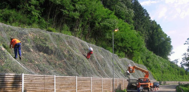 Arneiten in Gutach  | Foto: Gnter Bank