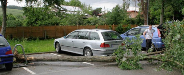 Mut zur Lcke hatte am Mittwoch dieser... auch keinen Schaden angerichtet hat.   | Foto: Reinhard Cremer