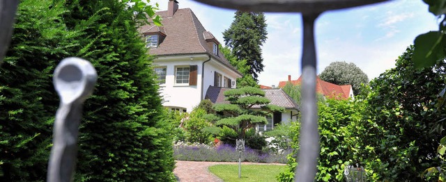 Durch den Zaun gesehen: Eine alte  Vil...ehre, deren Bestand  in Gefahr gert.   | Foto: Rita Eggstein