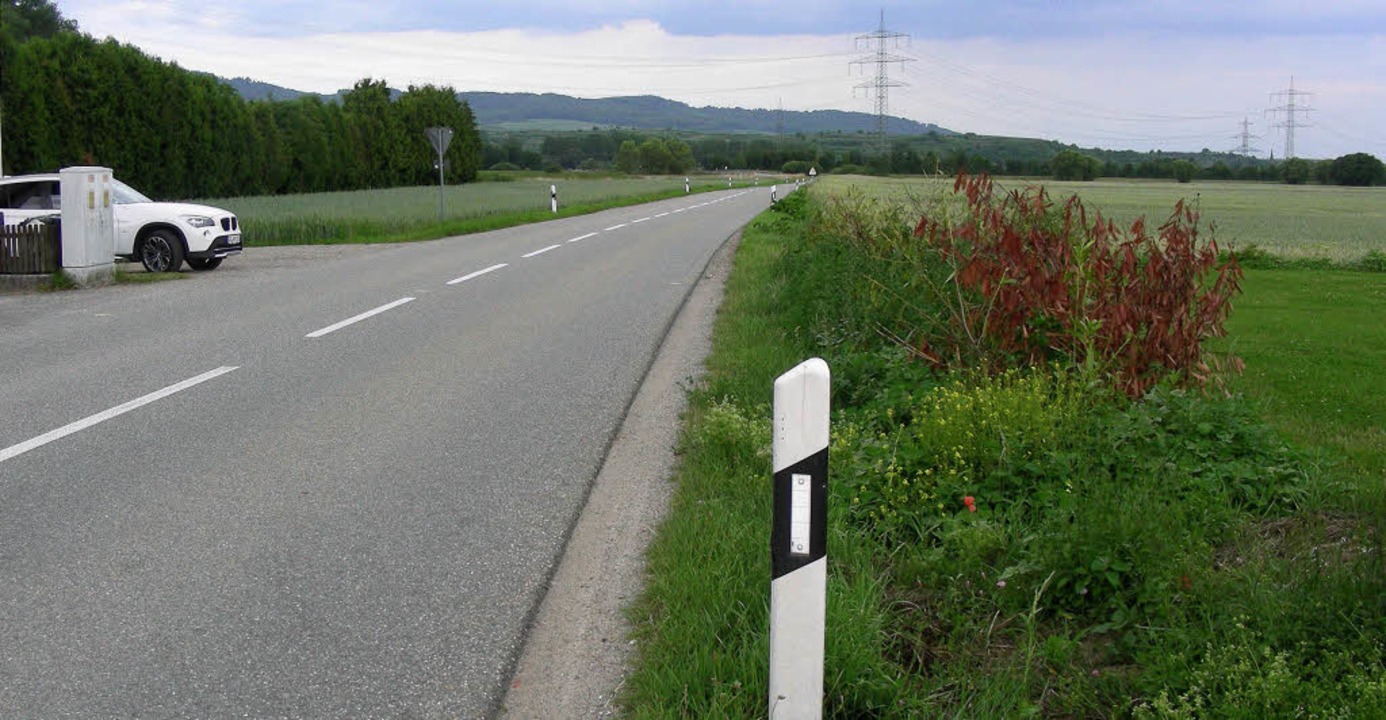 Die jetzige Landstrae von Neuershause...chstetten/Btzingen gebaut sein wird.   | Foto: mario schneberg