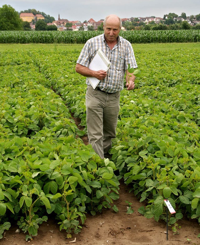 Helmut Hs begutachtet den Wuchs von  ...und des Ortenaukreises in  Orschweier.  | Foto: Erika Sieberts