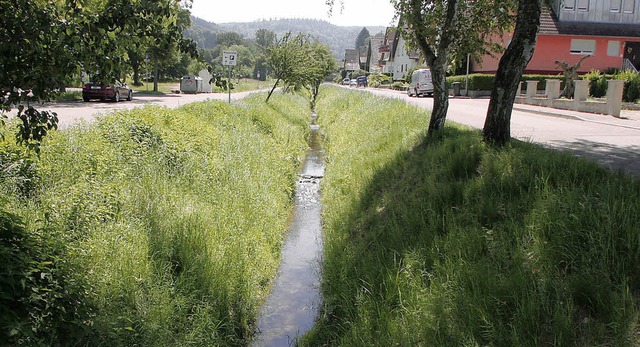 Die Snden der Vergangenheit sollen be...ierung des Sulzbachs gelindert werden.  | Foto: HEIDI FSSEL