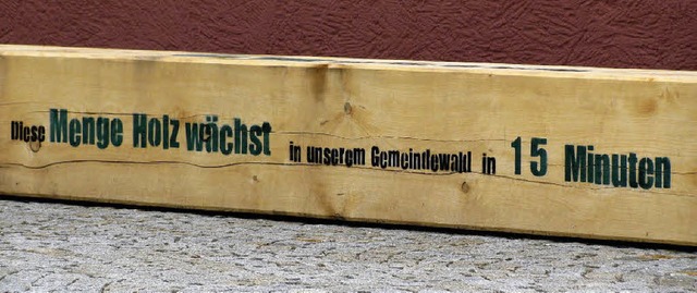 An der Rathausfassade in Mnstertal: S... eine nachhaltige Waldbewirtschaftung.  | Foto: M. Lange