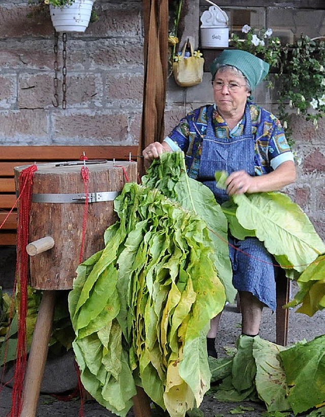 Altes Handwerk: In verschiedenen Theme... auch das Auffdeln von Tabak gezeigt.  | Foto: privat