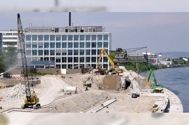 Grnes Licht fr den Rheinuferweg