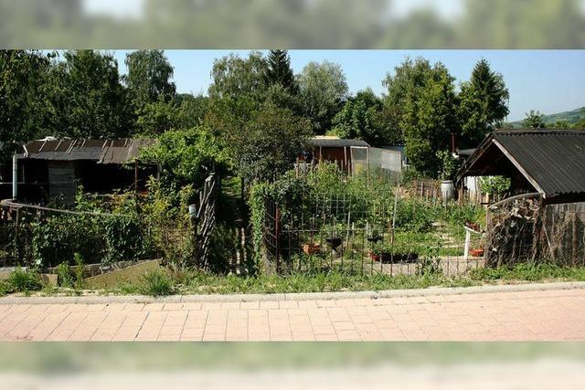 Kleingrten waren dem oder den Ttern bekannt