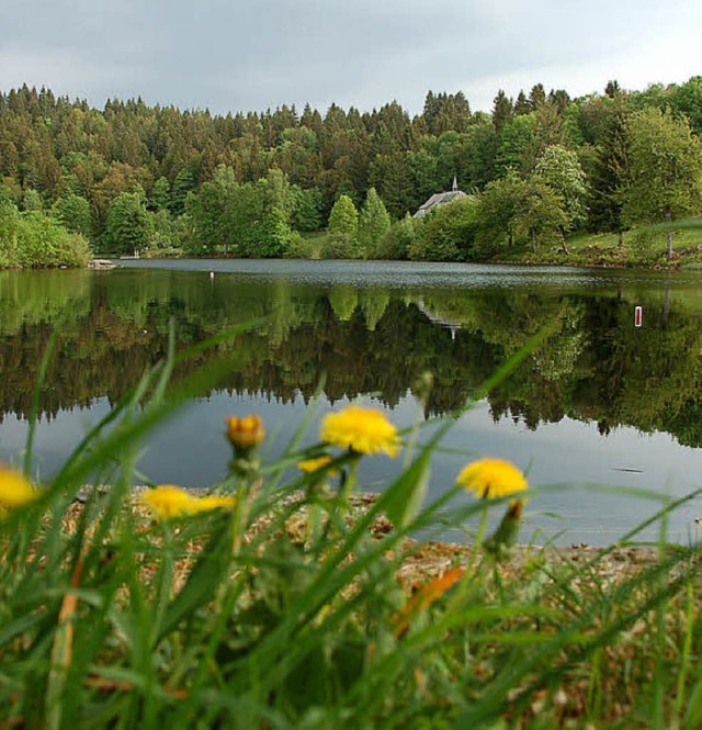 Umfragen zeigen: Gste suchen in Dachs...soll die Vermarktung Rechnung tragen.   | Foto: Kathrin Blum