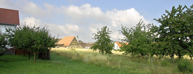 Die Lcken  im   Baugebiet &#8222; Dor...umstritten &#8211; drei Reihenhuser.   | Foto: Heike Lemm